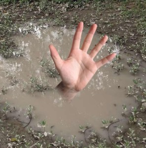 8eac46465563cf7c764bde3ab6662c60