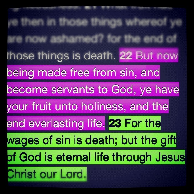 a128281151431c1c2509024d956dd61a