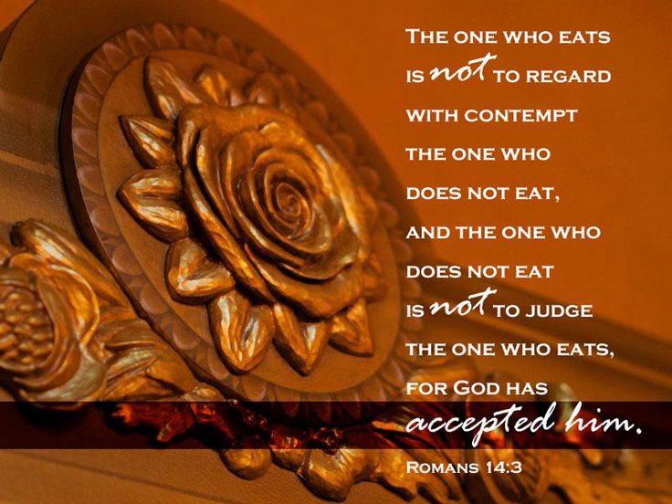 2727286392ecc62f1b5c4fe6dc98b4cf