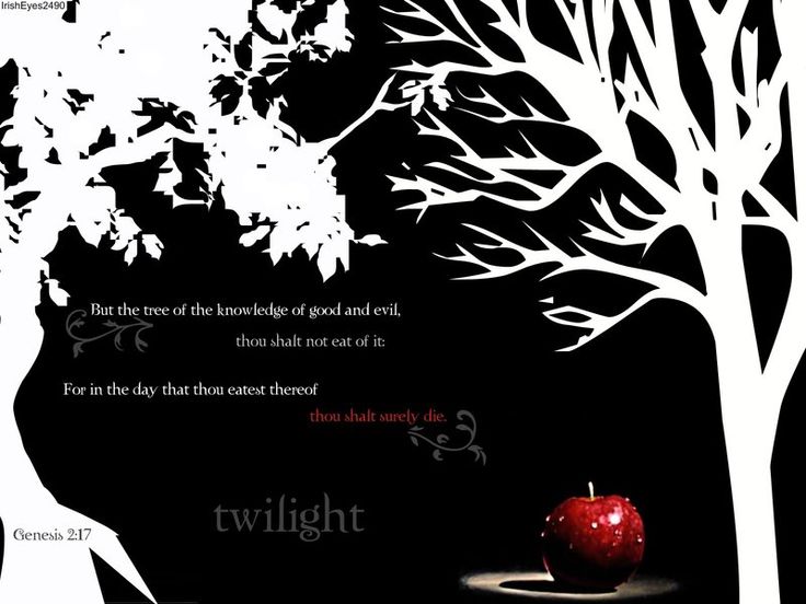 (irisheyes2490.deviantart.com) As illustrated with the two trees in Genesis—the tree of the knowledge of good and evil and the tree of life—God repeatedly holds out two options for us throughout the Bible: life or death. Like our ancestors, Adam and Eve, it's an individual decision. 