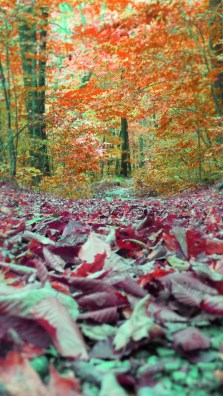 The earnest (heartfelt, continued) prayer of a righteous man makes tremendous power available [dynamic in its working]. - James 5:16 (AMPC)