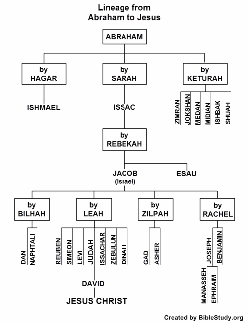 This is a condensed lineage to Jesus. For more on Jesus' lineage see Matthew 1. Here you will find a variety of people, 46 in all, whose lifetimes span 2,000 years in the first 17 verses. Some of Jesus' ancestors were heroes of faith, others had sketchy reputations. . . . But God—sovereign over history, the present, and future—worked through ordinary people to bring His Son into the world. He wants to continue His purposes through ordinary people like you and me!