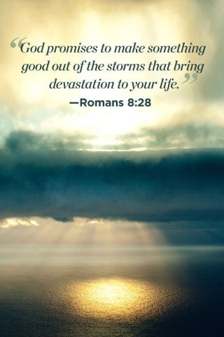 ed8207007091645e2274b2bff7db134d