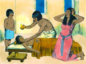 (freebibleimages.org) You may read Exodus 11 here: Bible Gateway.